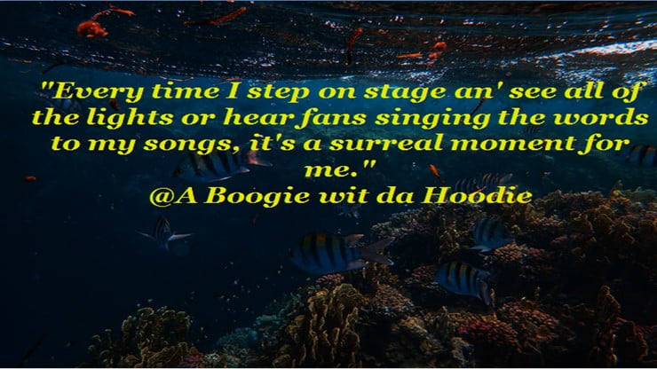 a boogie quotes