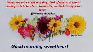 255 Romantic Good Morning Message to Make Her Fall in Love