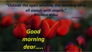 255 Romantic Good Morning Message to Make Her Fall in Love