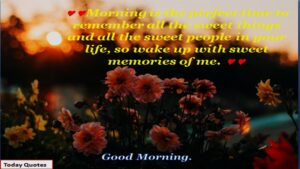 255 Romantic Good Morning Message to Make Her Fall in Love