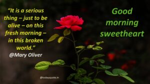255 Romantic Good Morning Message to Make Her Fall in Love