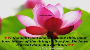 255 Romantic Good Morning Message to Make Her Fall in Love
