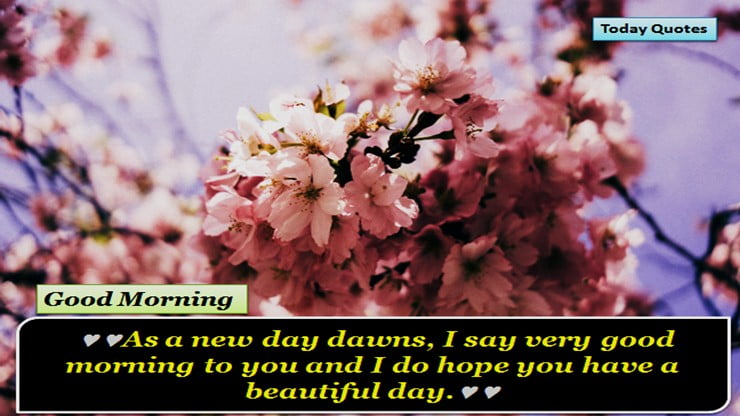 255 Romantic Good Morning Message To Make Her Fall In Love Today Quotes