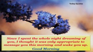 255 Romantic Good Morning Message to Make Her Fall in Love
