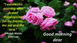 255 Romantic Good Morning Message to Make Her Fall in Love