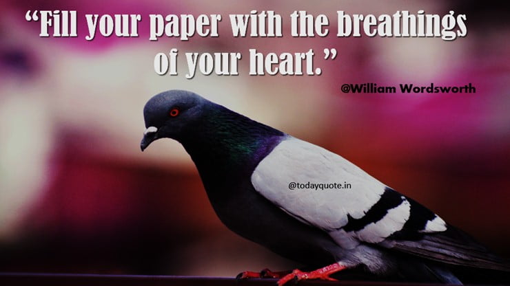 romantic love messages for her