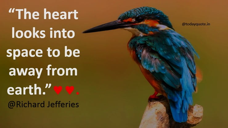 romantic love messages for her