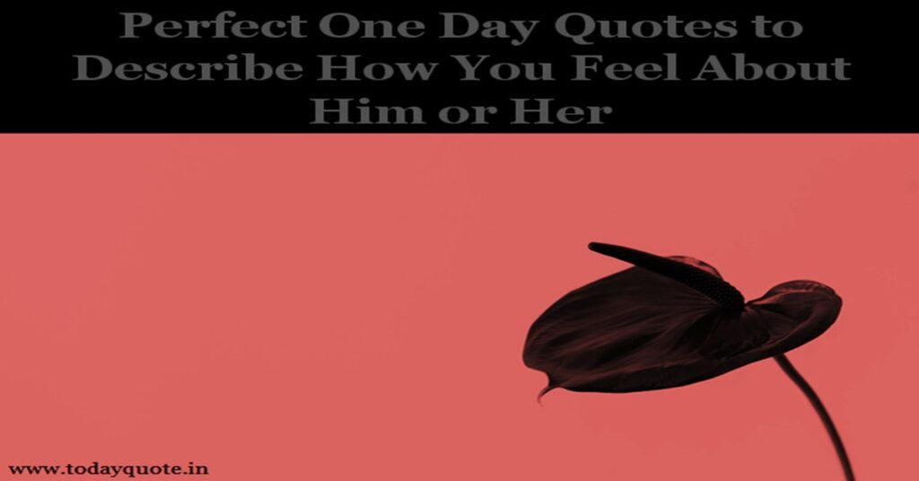 210 One Day Quotes About Life to Tap into Your Daily Courage
