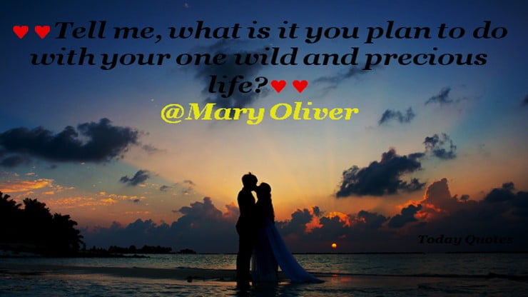 unconditional love quotes