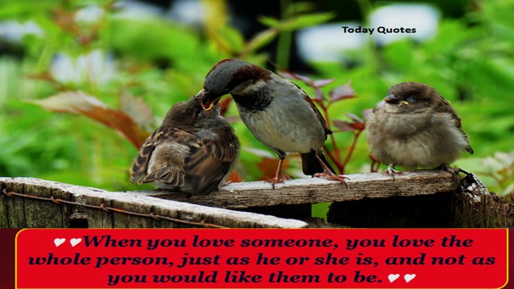 love quotes for him short