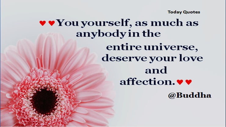 new love quotes