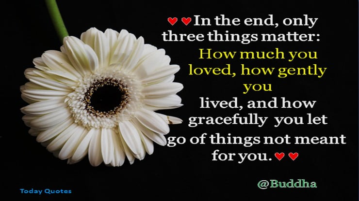 new love quotes