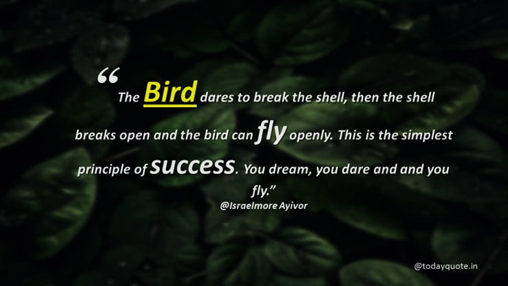 it quotes