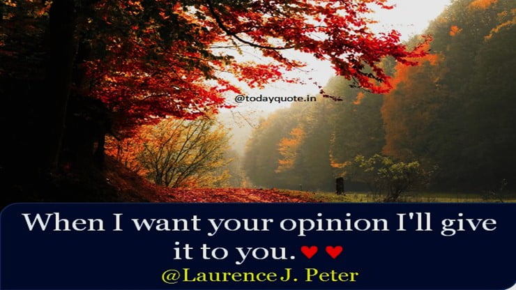 opinion quotes