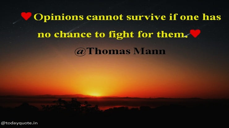 opinion quotes