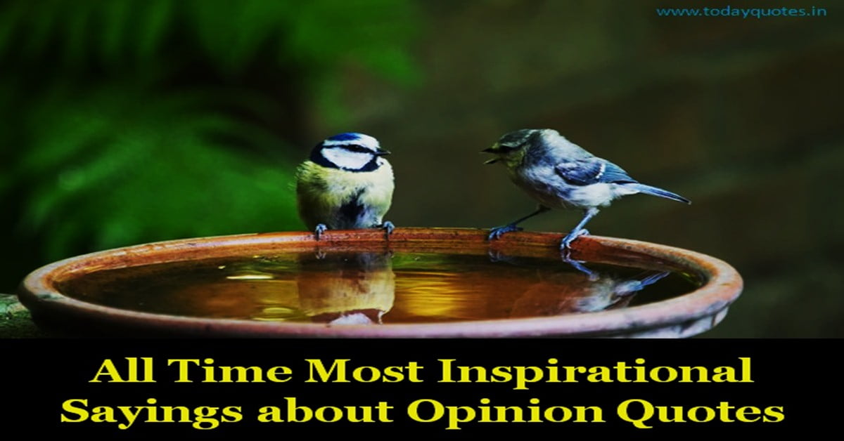 opinion quotes