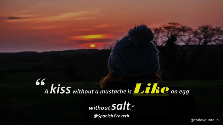 funny quotes on love