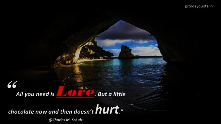 funny quotes on love