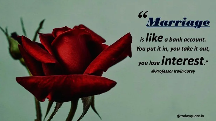 funny quotes on love