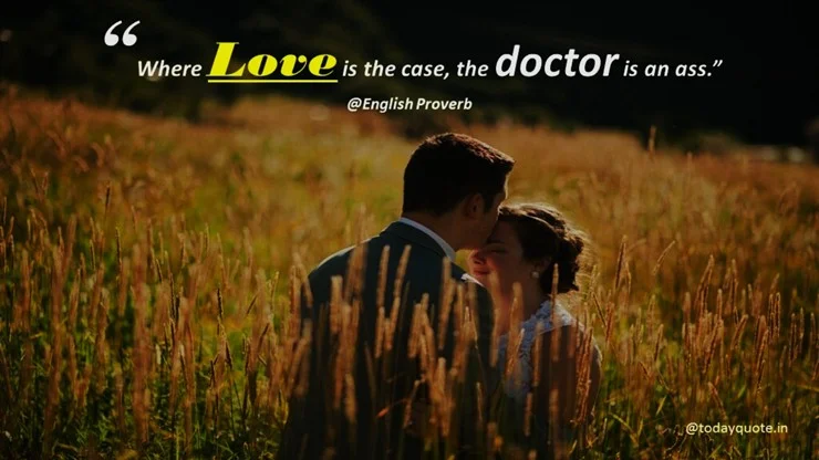 funny quotes on love