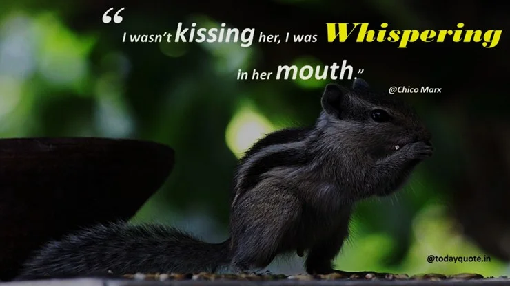 funny quotes on love