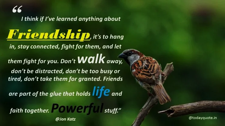 funny quotes to friends