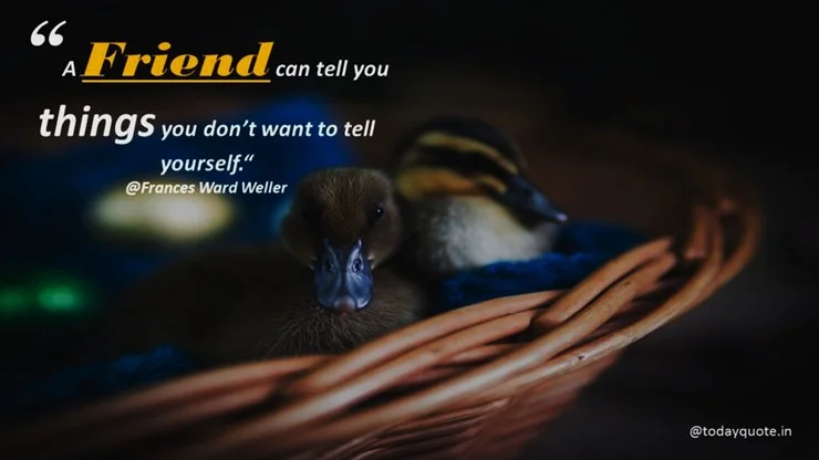 funny quotes to friends