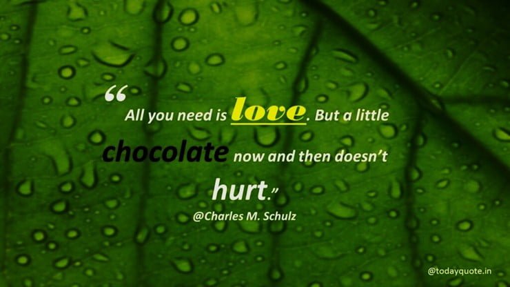 love is quotes funny