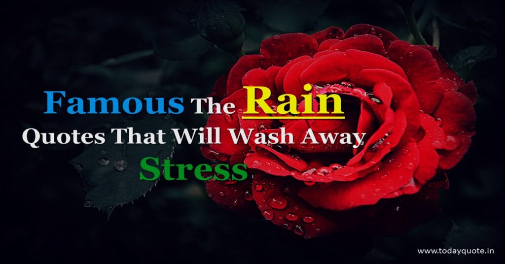 224 Famous The Rain Quotes That Will Wash Away Stress Todayquote