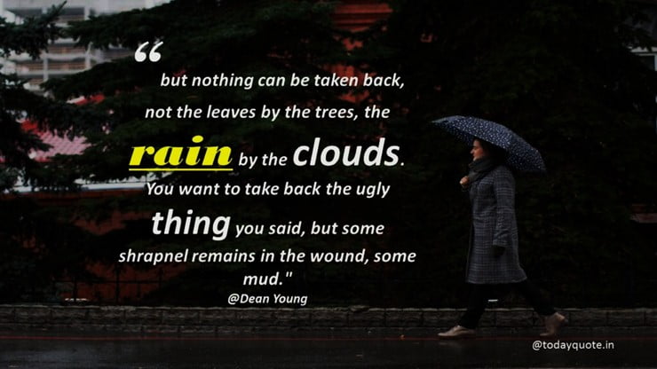 the rain quotes