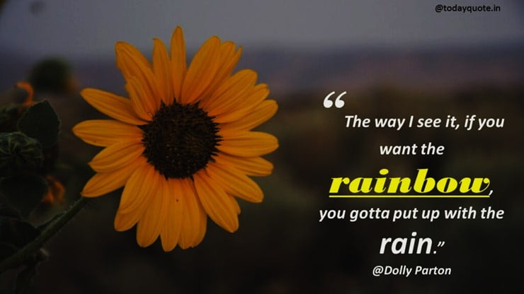 the rain quotes