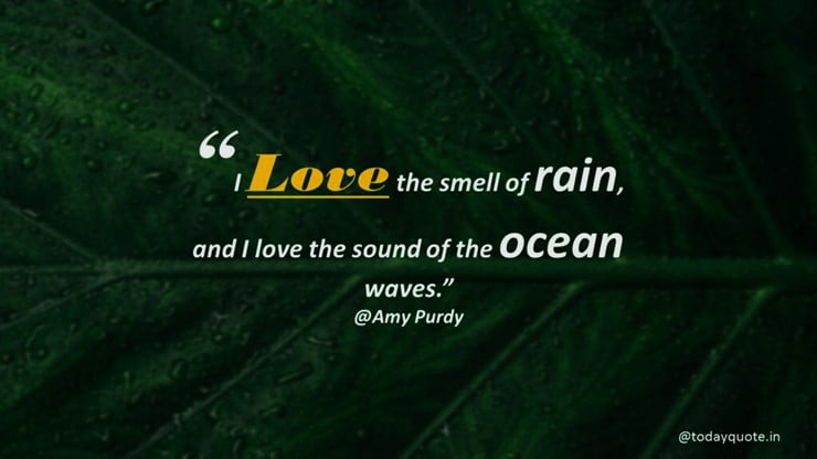 the rain quotes