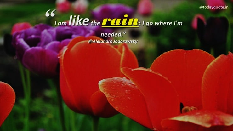 the rain quotes