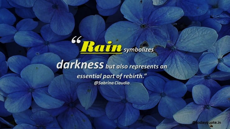 the rain quotes