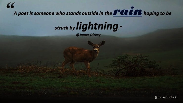 the rain quotes