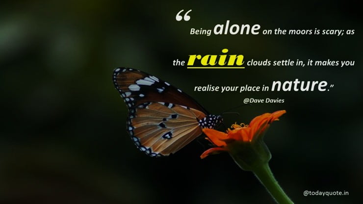 the rain quotes