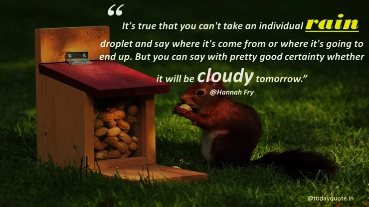 rain day quotes