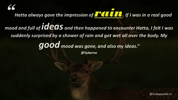 rain day quotes