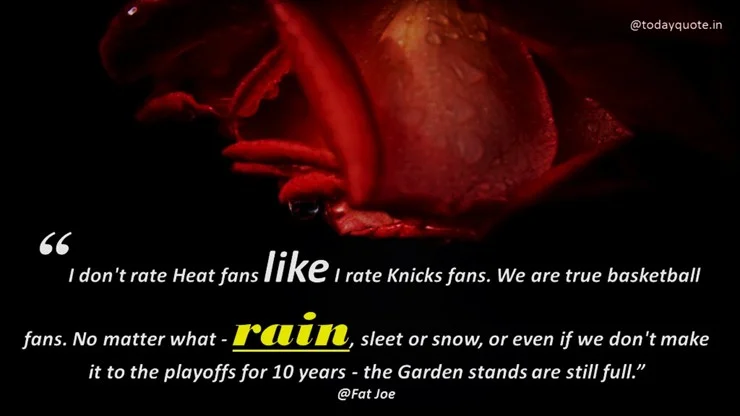 rain day quotes