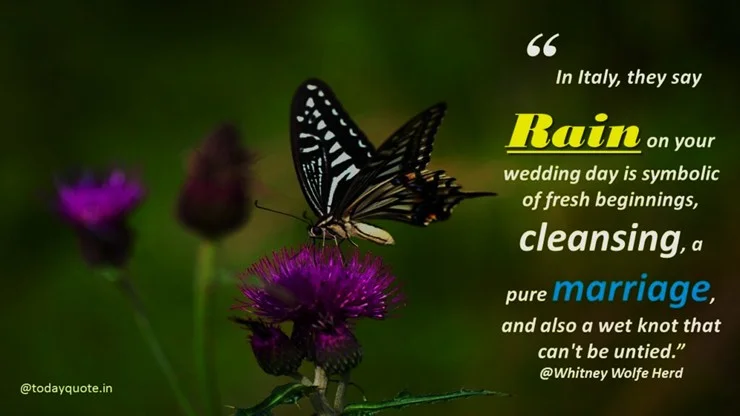 rain day quotes