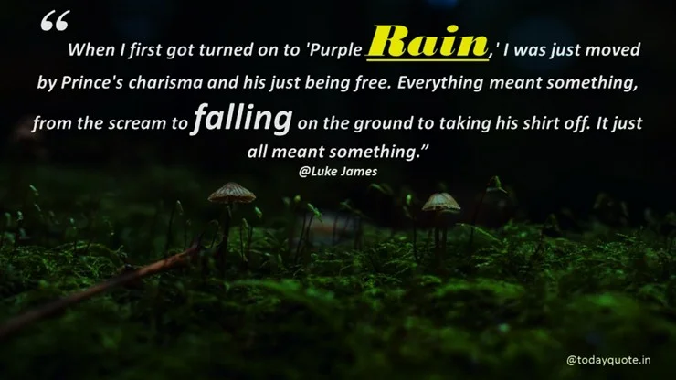rain day quotes