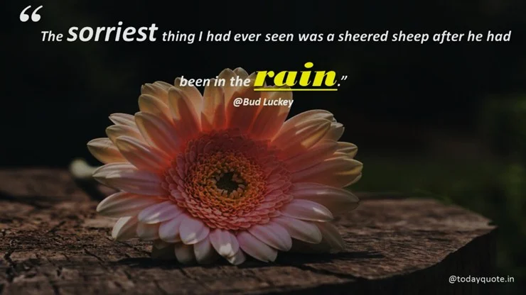 rain day quotes