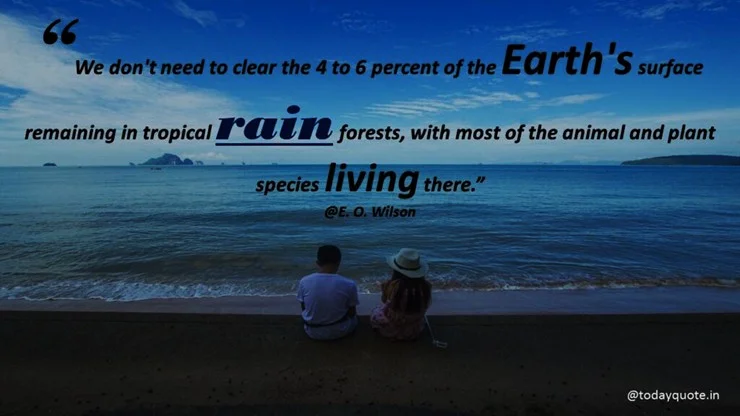 rain day quotes