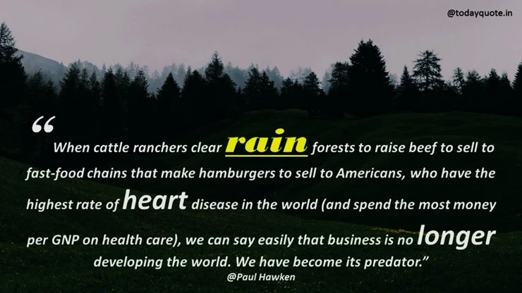 rain day quotes