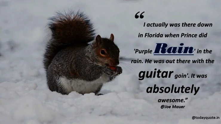 rain day quotes