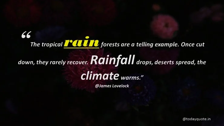 rain day quotes