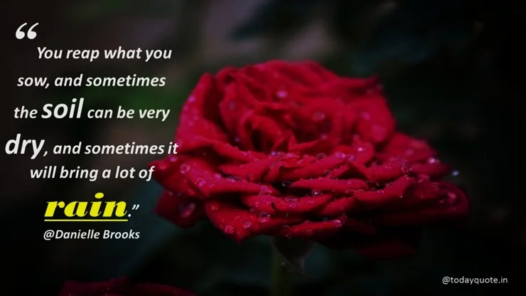 rain day quotes