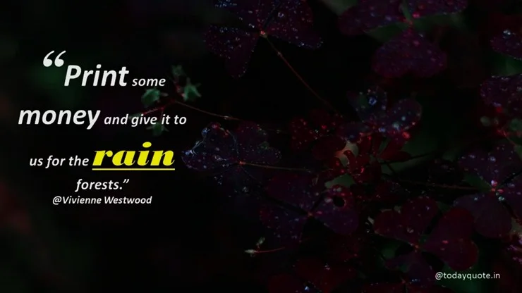 rain day quotes