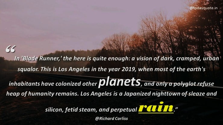 rain quotes