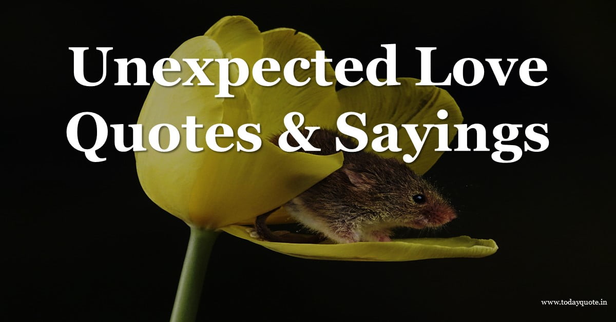 unexpected love quotes